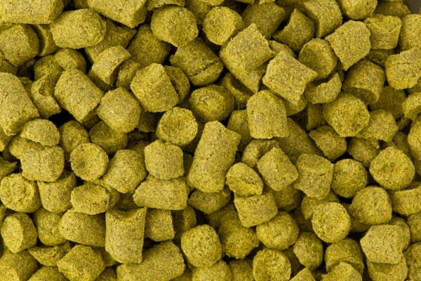 Columbus Hops
