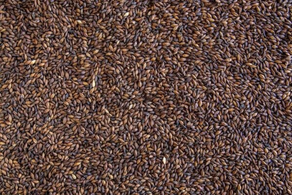 CaraAroma Malt