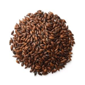 Chocolate Rye Malt