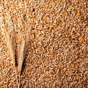 Munich Dark Malt