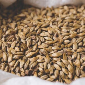 aromatic malt